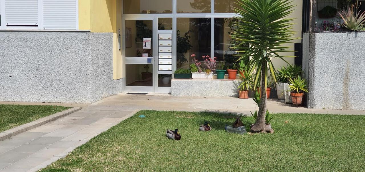 A Casa Do Parque Apartment Santo Andre Bagian luar foto